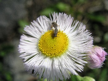 d0009738_1817641.jpg