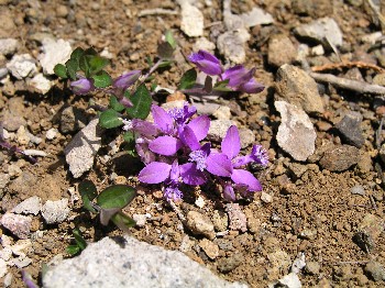 d0009738_18214329.jpg