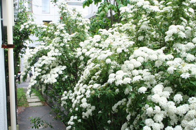 a0051443_21213145.jpg