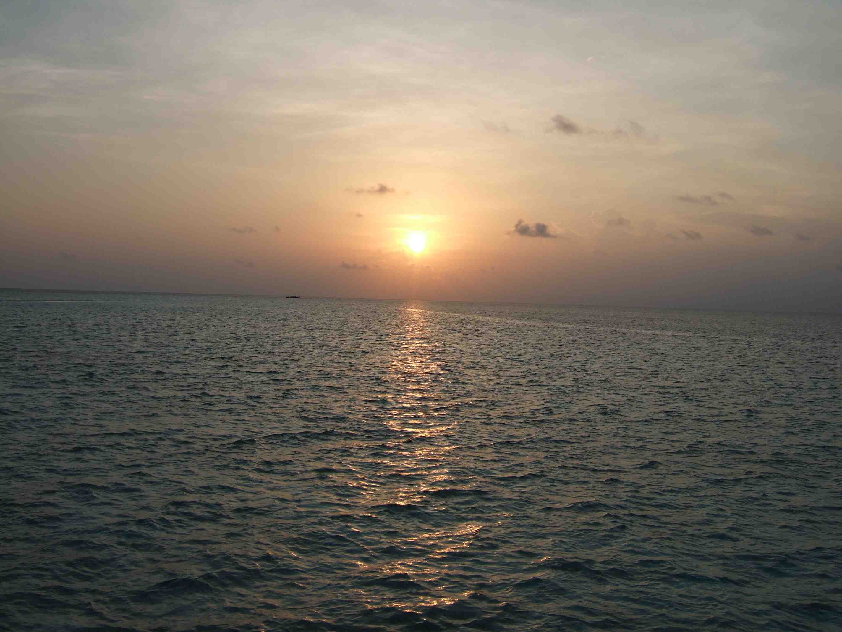 f0159243_144092.jpg