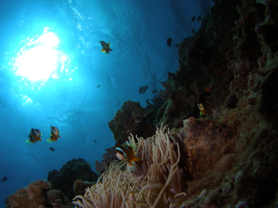 d0065247_2242267.jpg