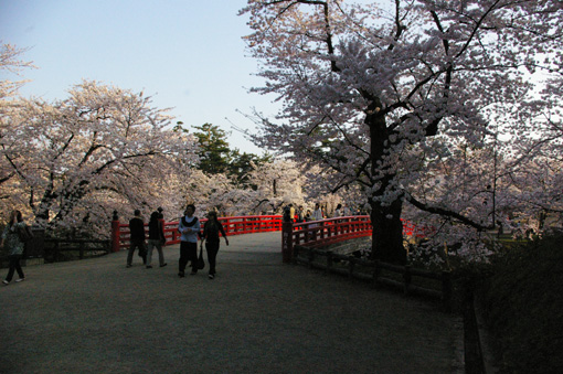 c0006748_190448.jpg