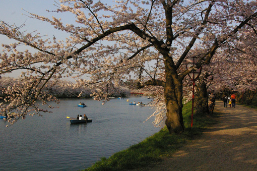 c0006748_1911868.jpg