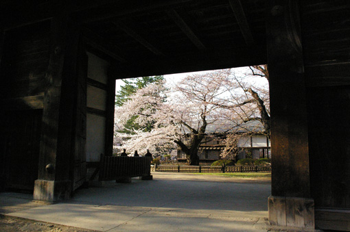 c0006748_1913896.jpg