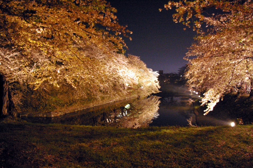 c0006748_19295647.jpg
