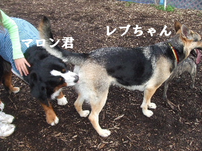 e0121548_2217139.jpg