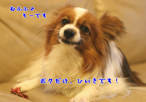 d0013149_1283118.jpg