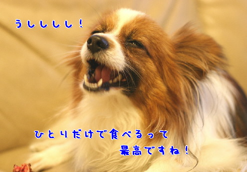 d0013149_1403829.jpg