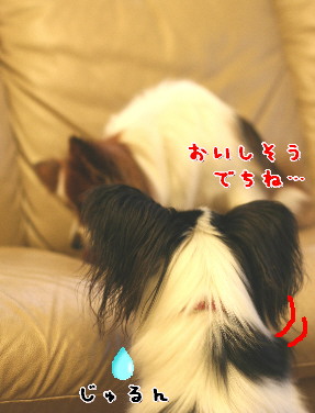 d0013149_1423737.jpg