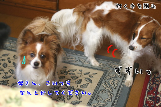 d0013149_223878.jpg