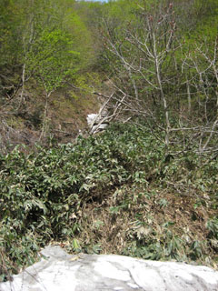 a0052952_21104846.jpg