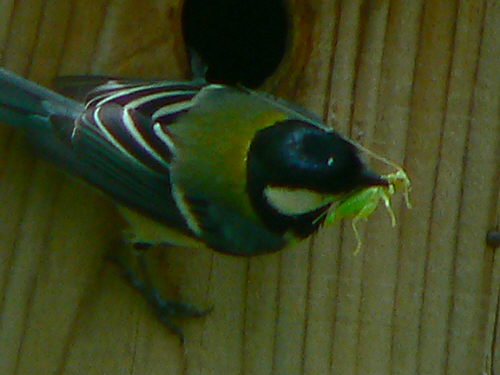 d0091754_2233587.jpg