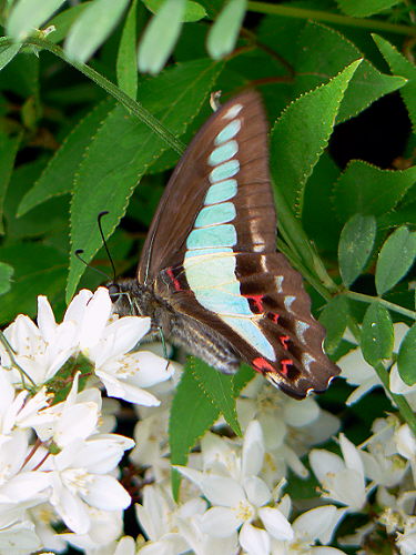 d0091754_23171365.jpg