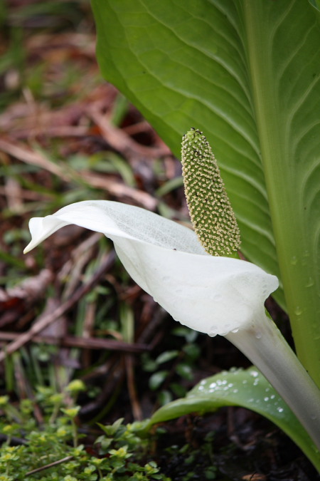 f0148762_2205118.jpg