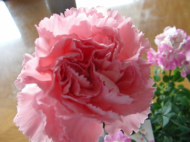 b0109874_21374663.jpg