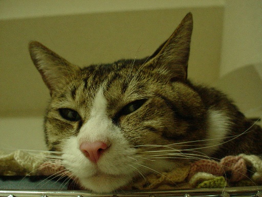 c0102374_1302387.jpg