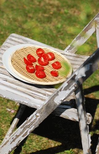 f0032481_1315745.gif