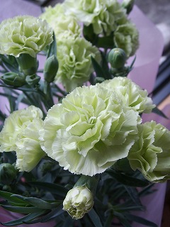 f0167681_155565.jpg