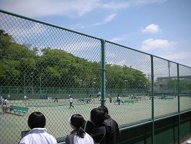 d0129083_7332797.jpg
