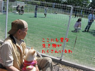 e0121589_12303677.jpg