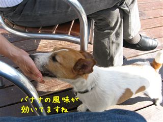 e0121589_12401322.jpg