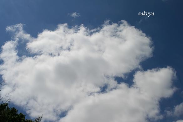e0122194_19413637.jpg