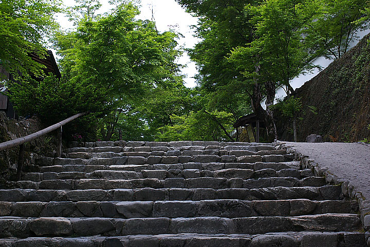 d0069495_147673.jpg