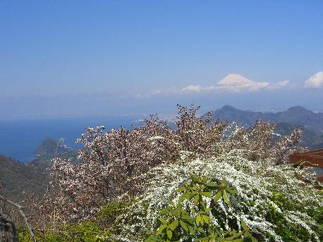e0077899_651316.jpg