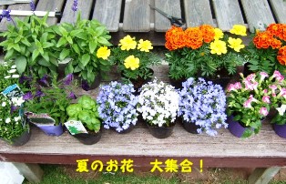 b0087400_22281619.jpg