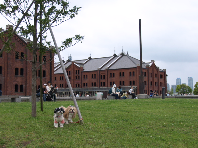 e0050801_049794.jpg