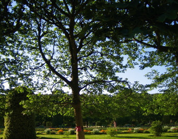 d0135907_9163464.jpg