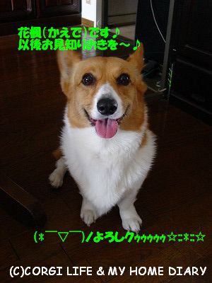 c0153410_2053187.jpg