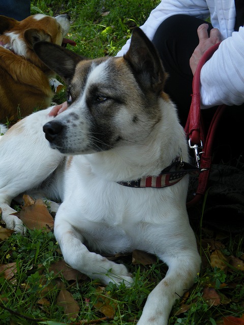 c0127617_1641883.jpg
