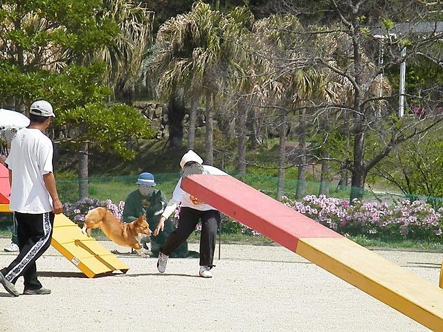 c0127617_18462039.jpg