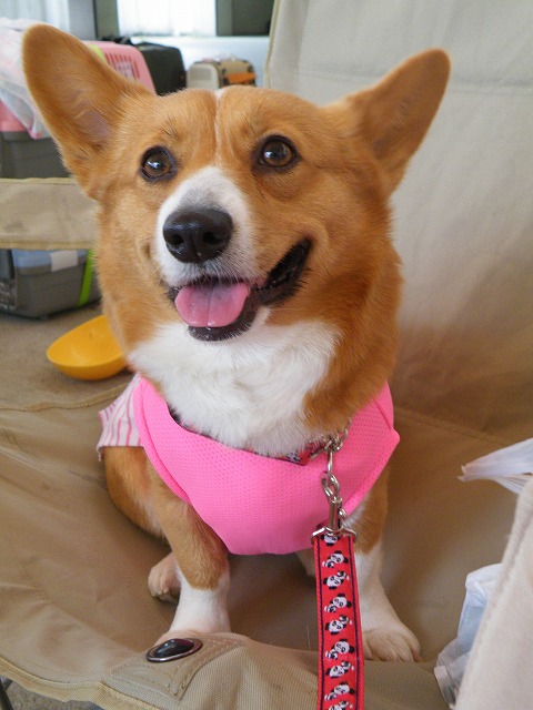 c0127617_223468.jpg