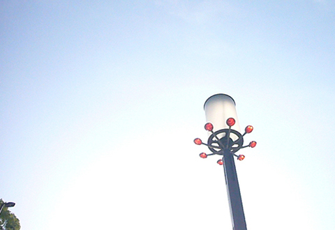 d0042618_3361925.jpg