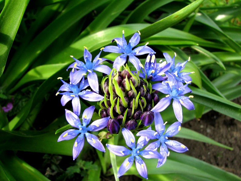a0004023_6472928.jpg