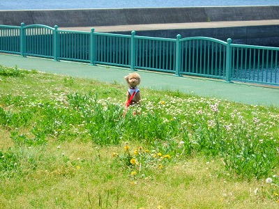 d0023323_0221844.jpg