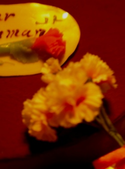 c0107924_052171.jpg