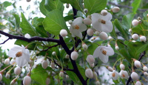 f0060424_2113131.jpg