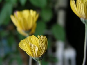 b0031925_11354040.jpg