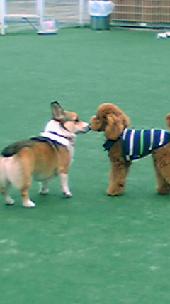 e0071225_016206.jpg