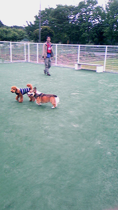 e0071225_092188.jpg