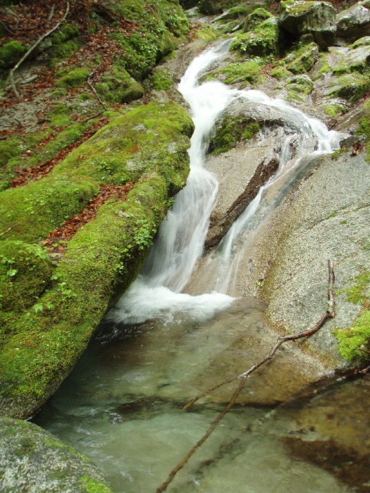 f0103126_21525236.jpg