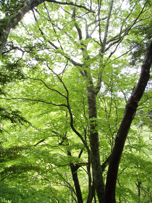 f0103126_2159619.jpg