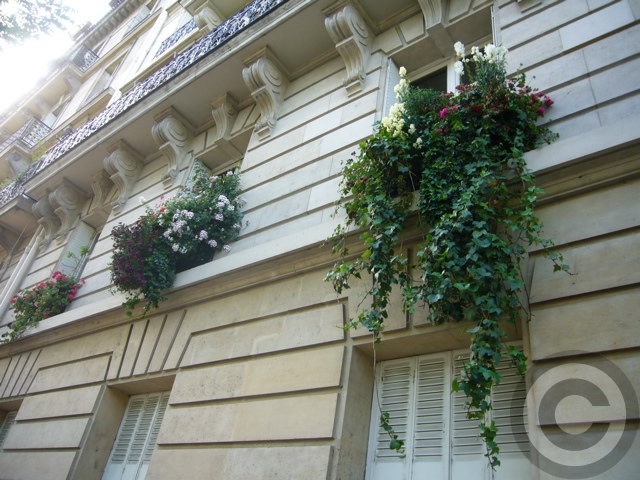 Paris rive gauche; La fleurie. dans Photographies du Paris d'hier et d'aujourd'hui f0063227_2132422
