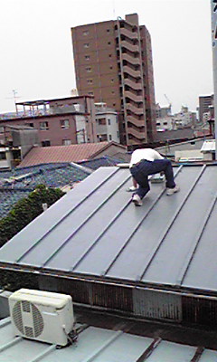 e0053528_1165420.jpg