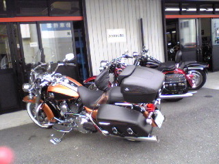 a0099129_2335593.jpg