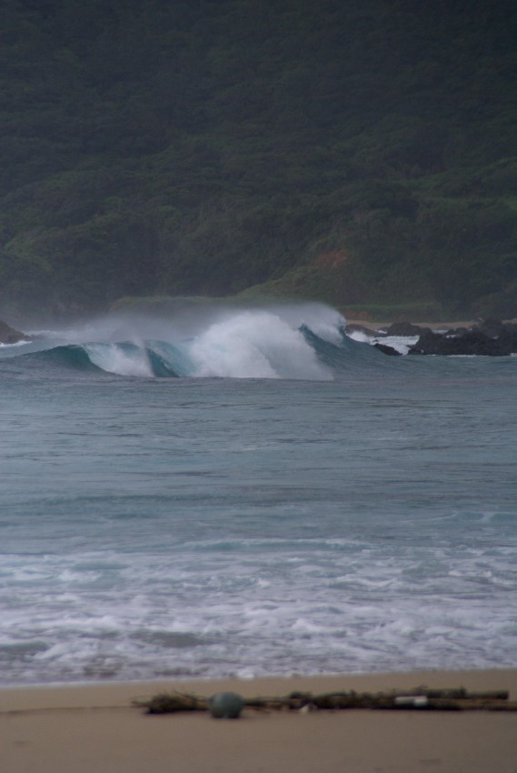 d0053930_6171959.jpg