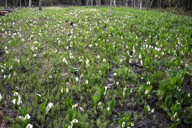 e0064133_044012.jpg